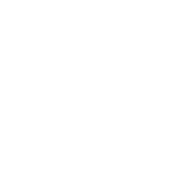 South Town Mall